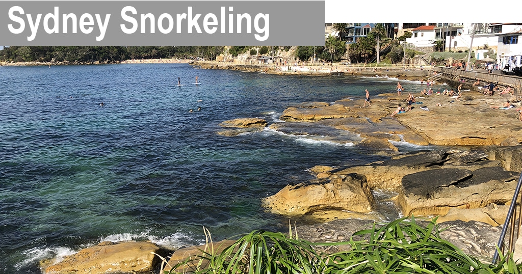 Sydney Snorkeling Cabbage Tree Bay